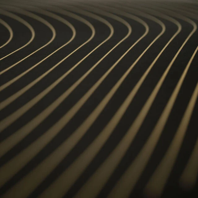 DROP SHOT Airam JMD Padelschlägertasche - Schwarz, Gold 6 DROP SHOT Airam JMD Padelschlägertasche - Schwarz, Gold – Bild 4